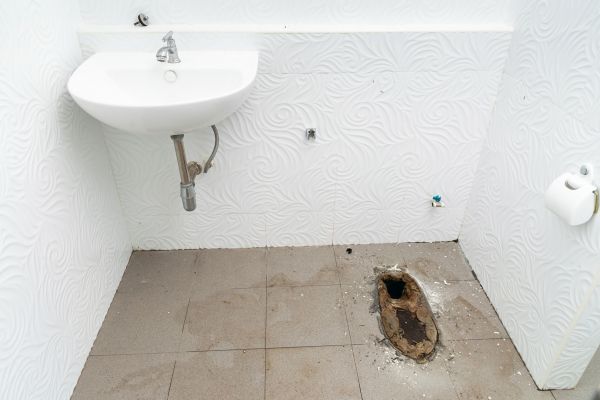 Toilet Disposal in Doylestown